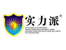 實力肥料（liào）