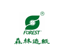 森（sēn）林造紙