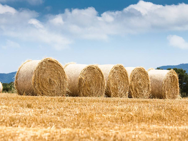 生物質（zhì）垃圾