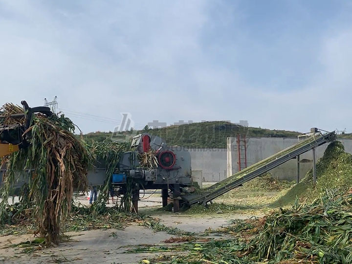 秸稈青貯（zhù）粉碎機